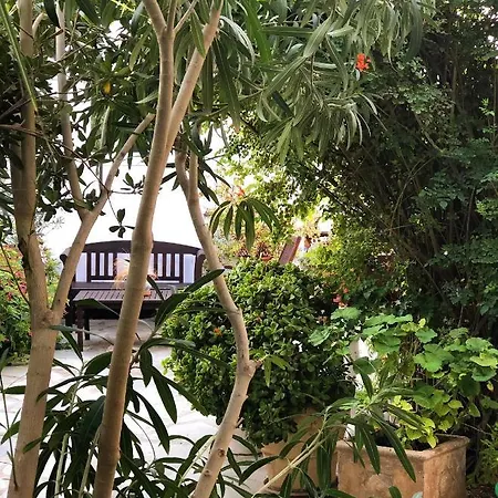 فندق ماتينا
