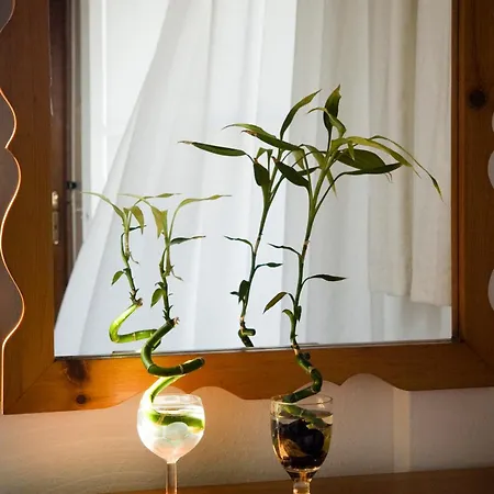 ホテル マティーナ Mykonos Town