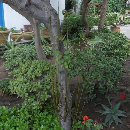 マティーナ ホテル 2*