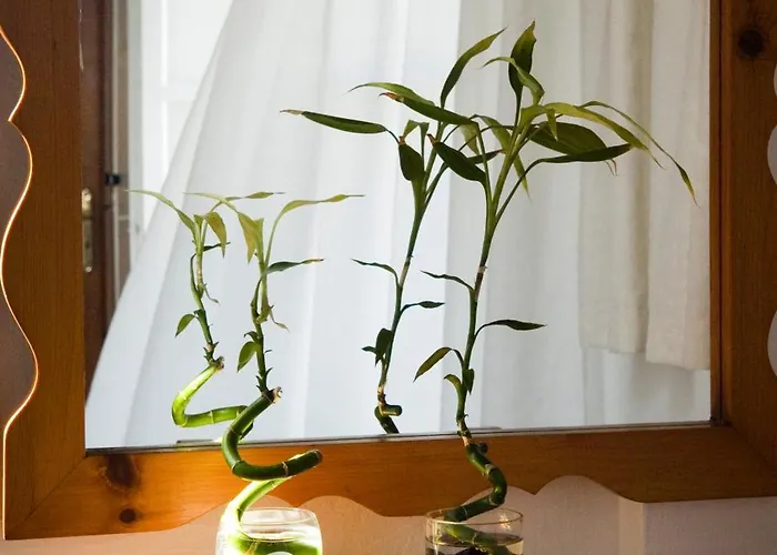 酒店 马蒂纳酒店 Mykonos Town