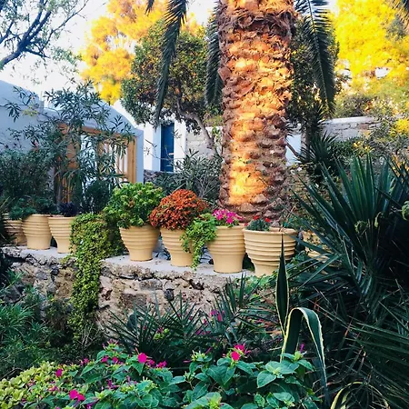 Отель Matina Mykonos Town