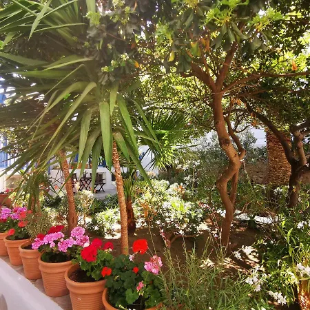 Отель Matina Mykonos Town