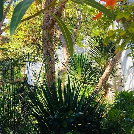 Matina Отель 2*