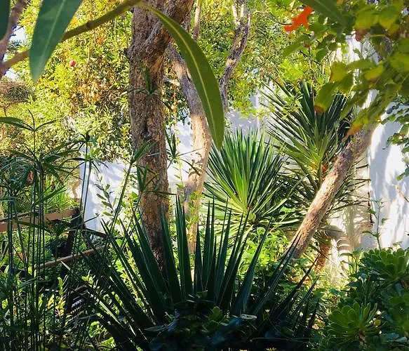 Matina Отель 2*